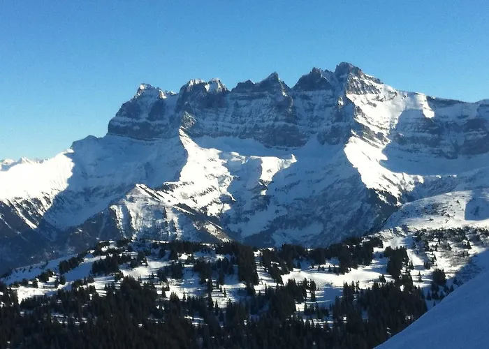 Le Panoramic Châtel