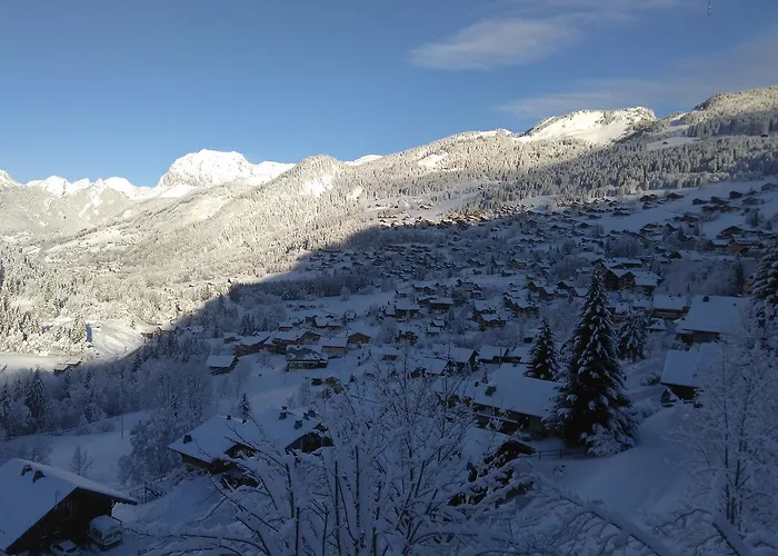 شقة فندقية Le Panoramic 2*